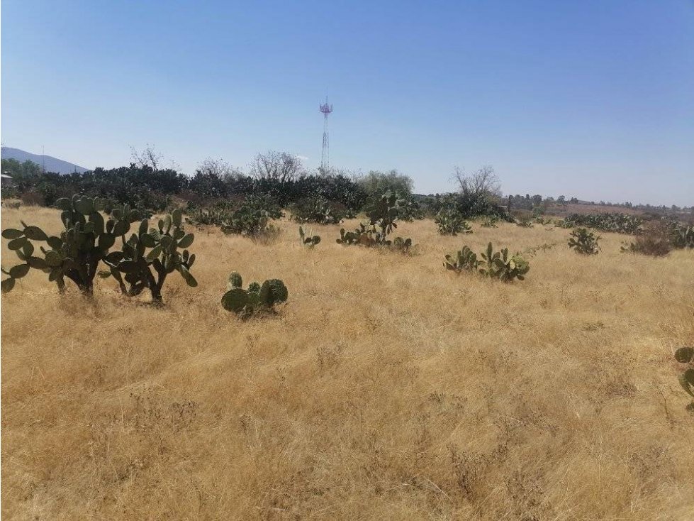 LOTES EN VENTA CEJA DE BRAVO