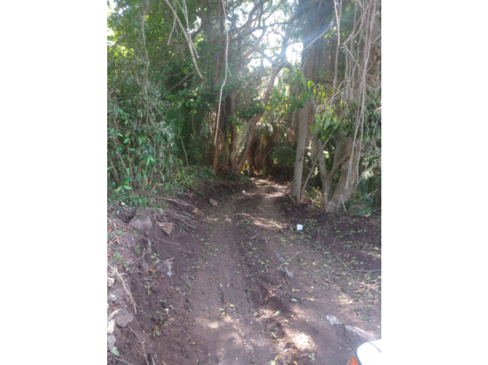 Playa Chacala terrenos con facilidades