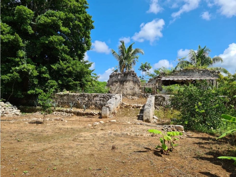 Venta terreno para agricultura 225 hectáreas .con cenote .orilla carre