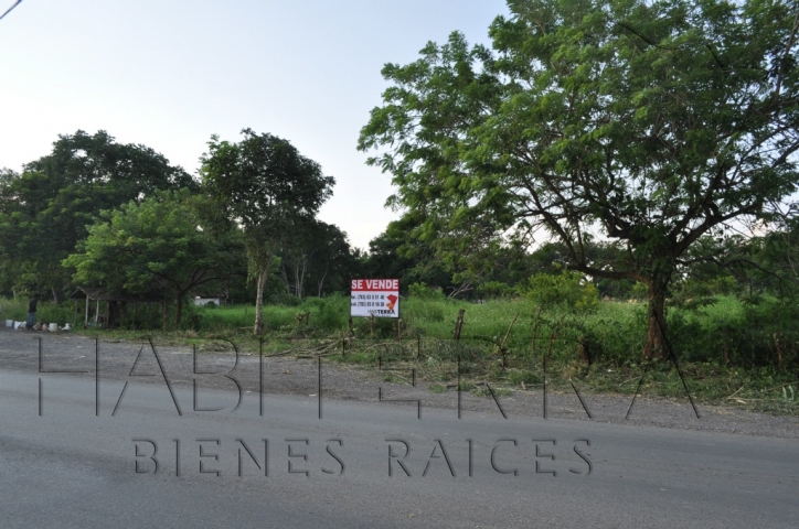 Terreno sobre la carretera a Cobos, Tuxpan Veracruz.